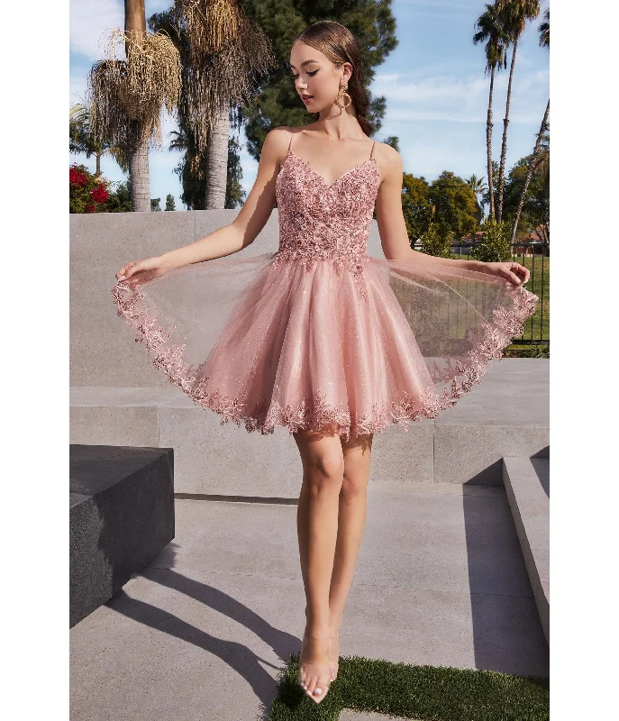 Limited Time Offer!Cinderella Divine  Blush Floral Lace Mini Homecoming Dress